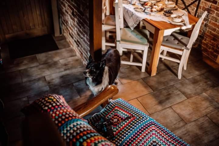 Chata Drewniana Stefanowka Slemien Buitenkant foto