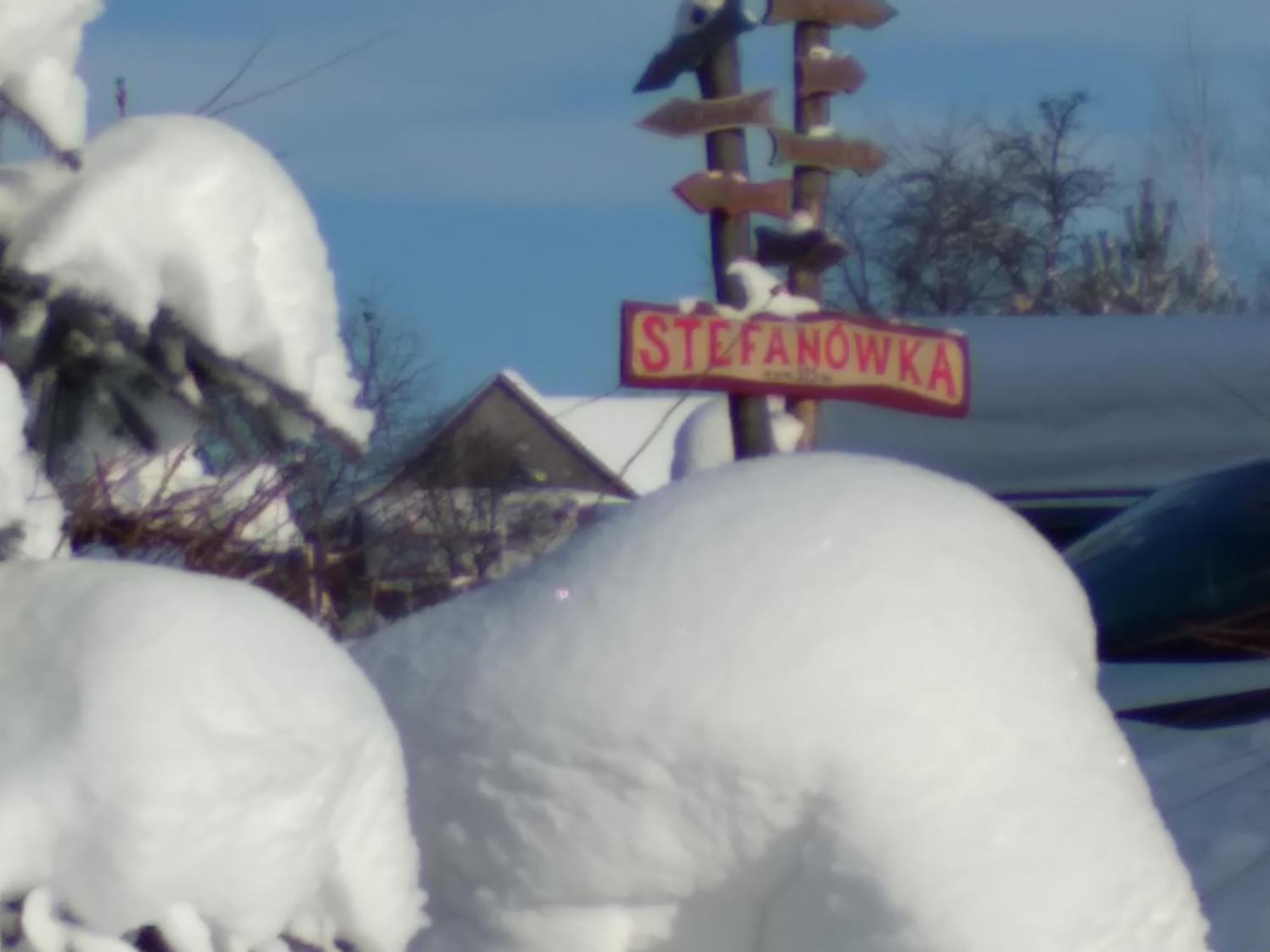 Chata Drewniana Stefanowka Slemien Kamer foto