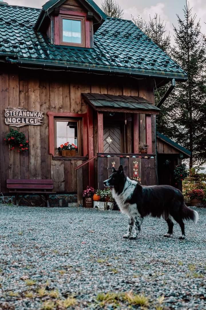 Chata Drewniana Stefanowka Slemien Buitenkant foto